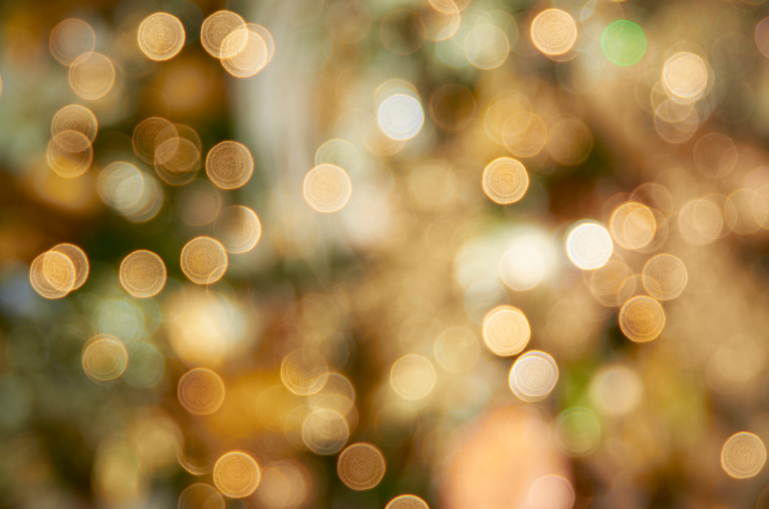 Christmas Tree Backgrounds Holiday Season